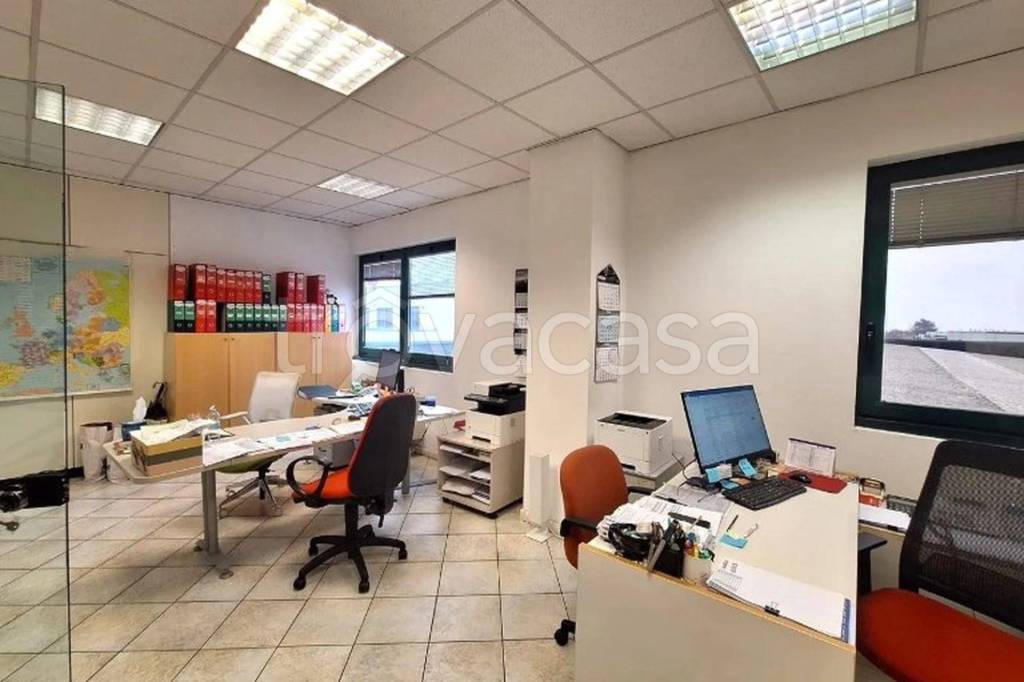 immagine annuncio 9 di 12