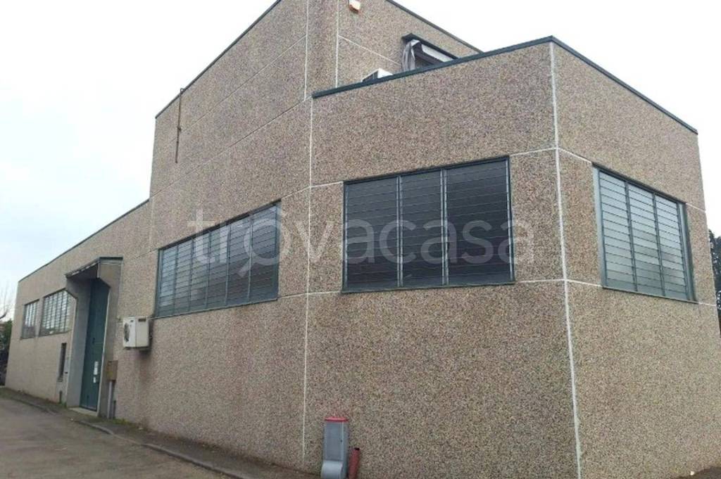 immagine annuncio 11 di 12