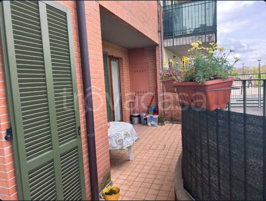 immagine annuncio 4 di 15