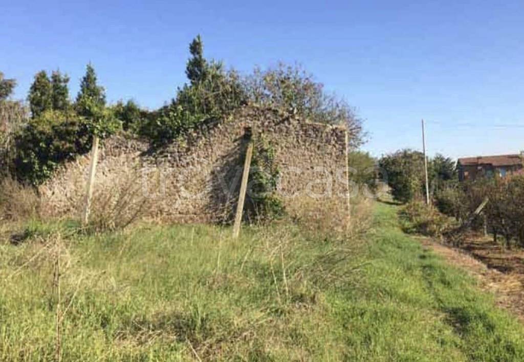 immagine annuncio 3 di 12