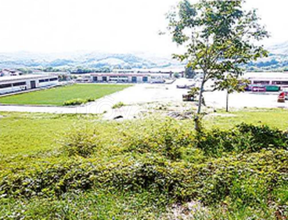 immagine annuncio 4 di 9