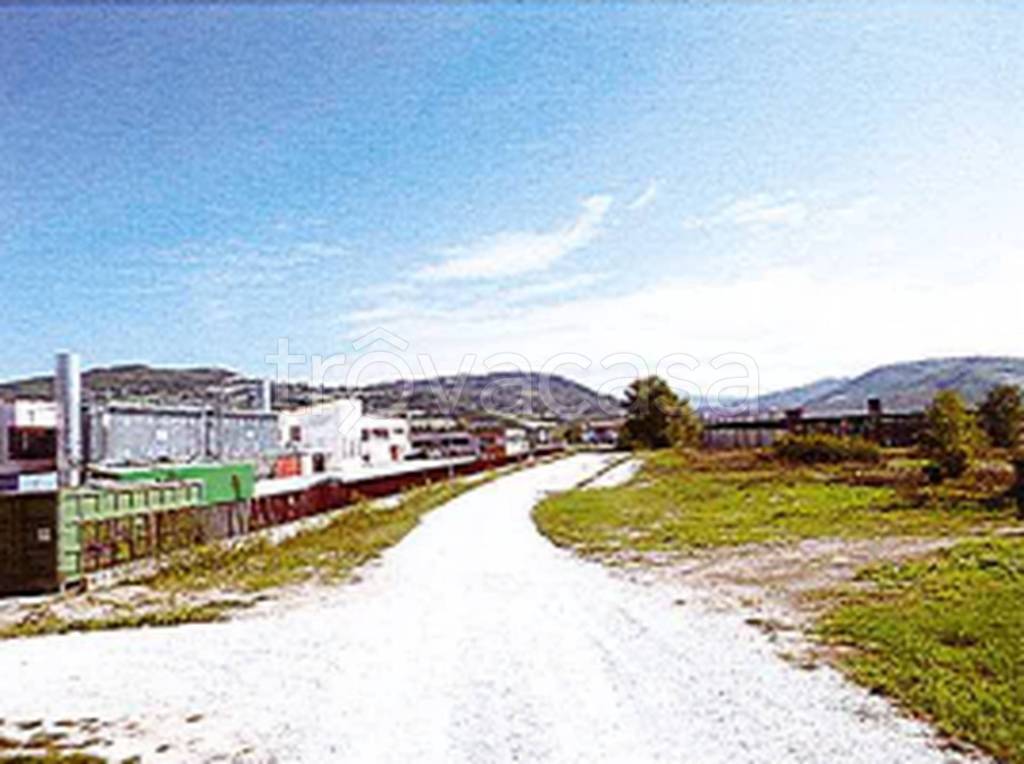 immagine annuncio 5 di 9