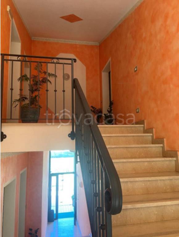 immagine annuncio 10 di 14