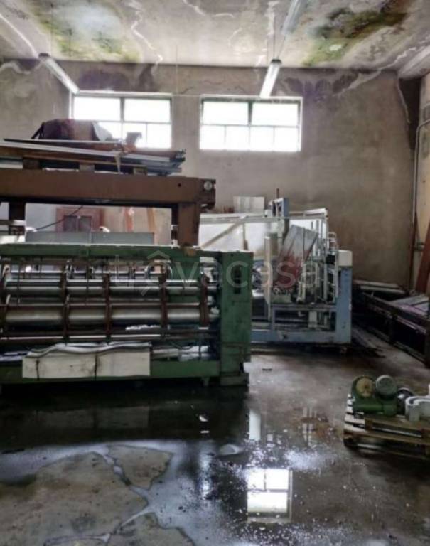 immagine annuncio 9 di 11