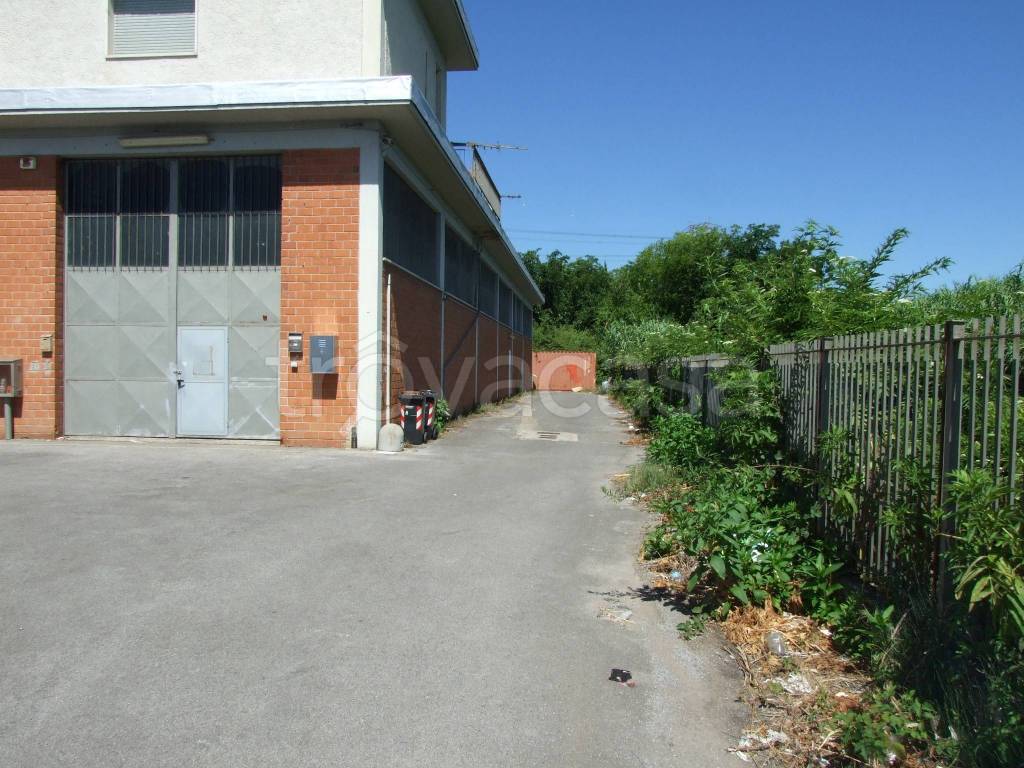 immagine annuncio 1 di 8