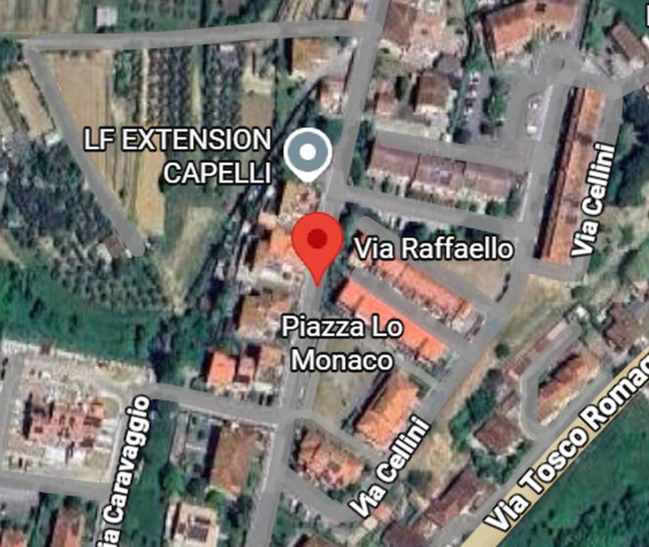 immagine annuncio 3 di 11