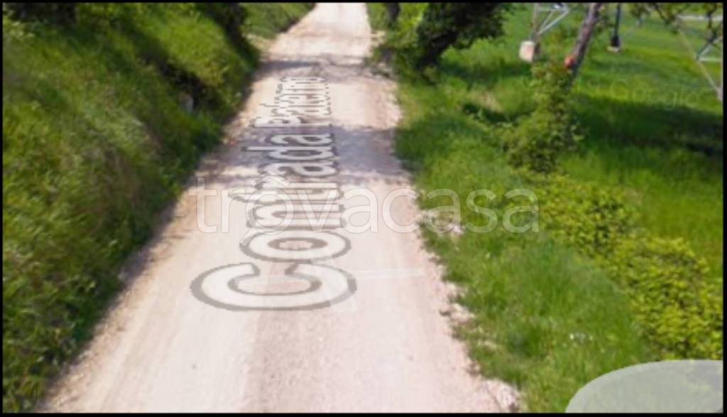 immagine annuncio 5 di 12