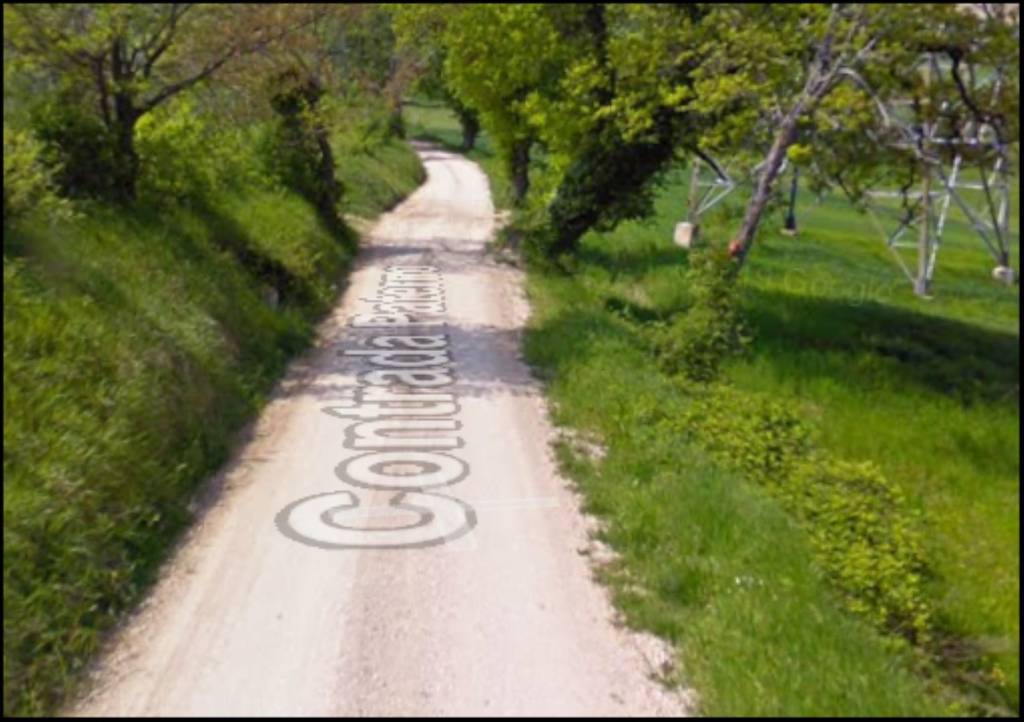 immagine annuncio 6 di 12