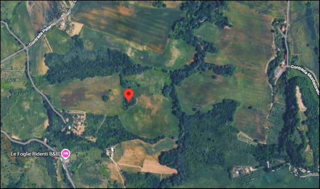 immagine annuncio 11 di 12