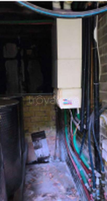 immagine annuncio 3 di 11