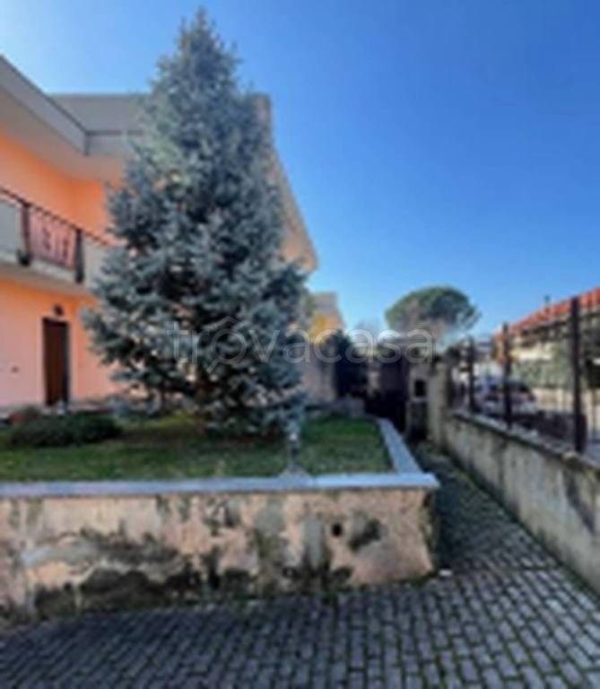 immagine annuncio 2 di 11