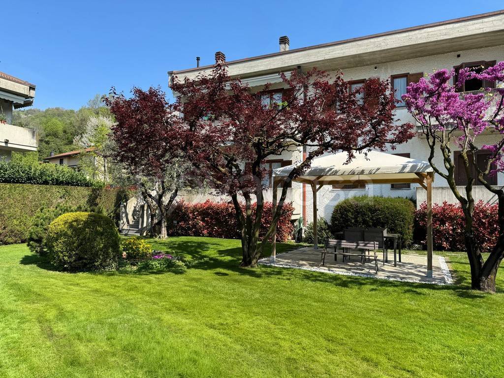 immagine annuncio 14 di 15