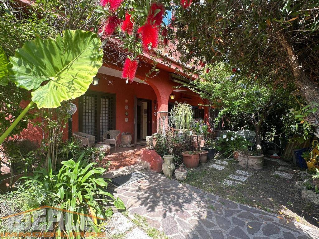 immagine annuncio 2 di 13