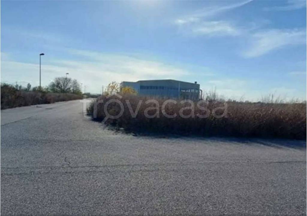 immagine annuncio 3 di 14