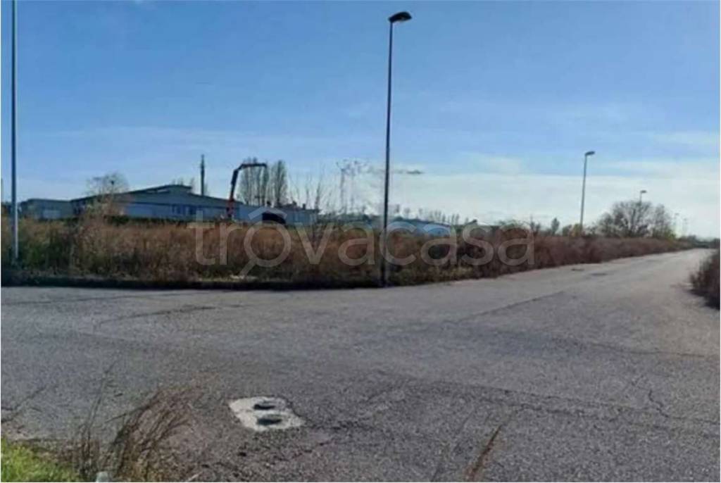 immagine annuncio 4 di 14