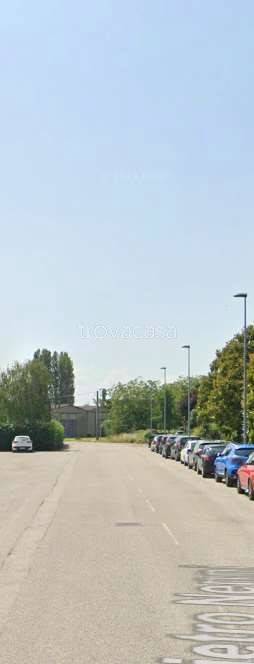 immagine annuncio 7 di 14