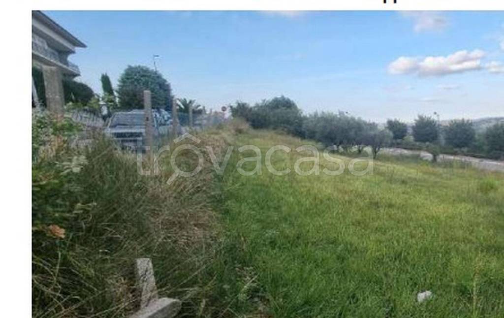 immagine annuncio 7 di 11