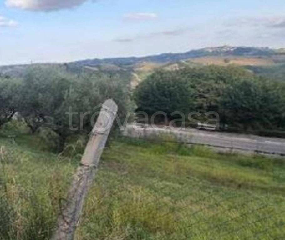 immagine annuncio 8 di 11