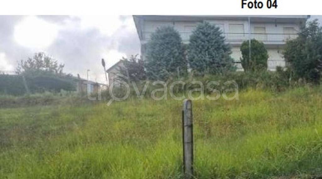 immagine annuncio 9 di 11