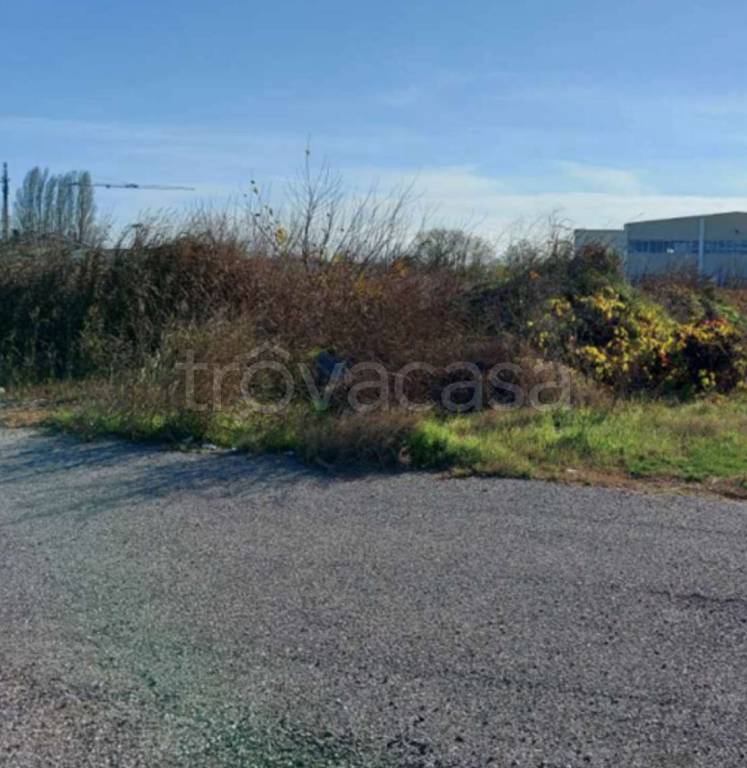 immagine annuncio 6 di 14