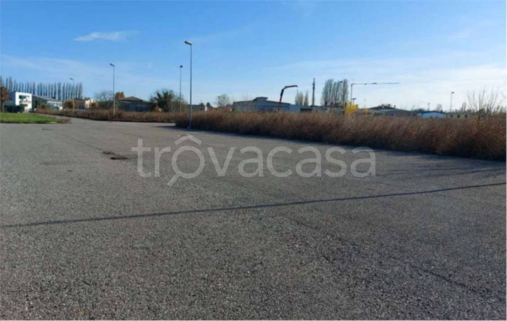 immagine annuncio 8 di 14