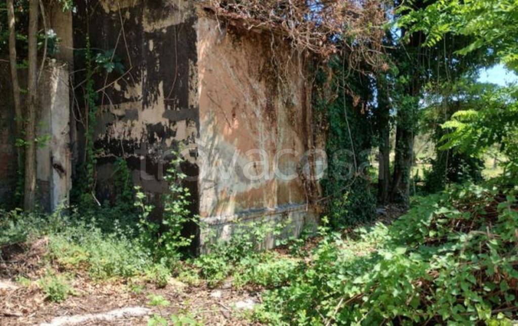 immagine annuncio 7 di 13