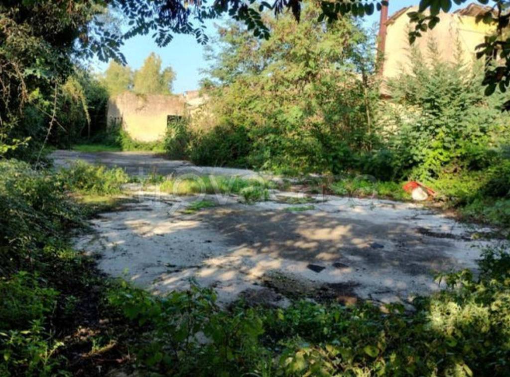 immagine annuncio 11 di 13