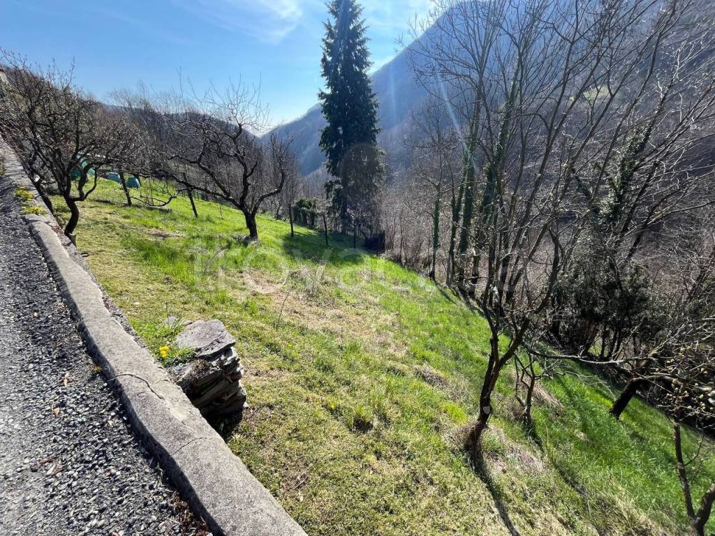 immagine annuncio 1 di 7