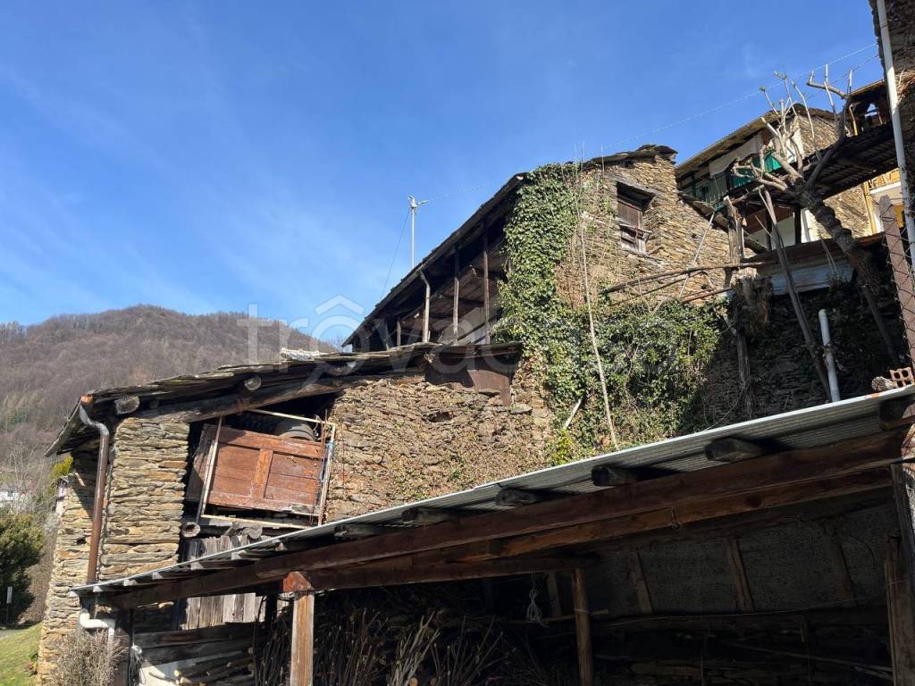 immagine annuncio 2 di 7