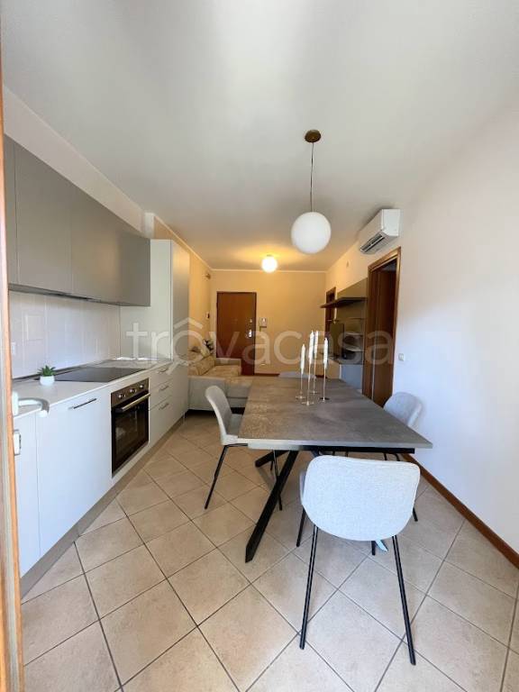 immagine annuncio 5 di 12