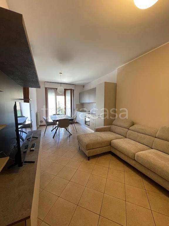 immagine annuncio 1 di 12