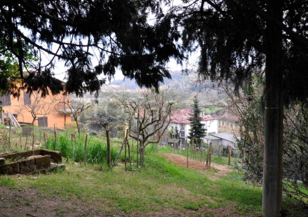 immagine annuncio 2 di 11