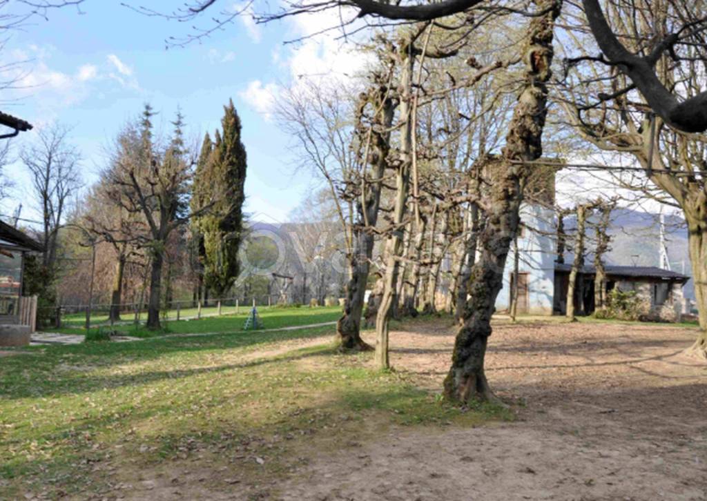 immagine annuncio 9 di 11