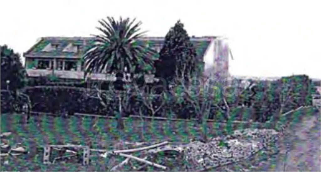 immagine annuncio 1 di 8