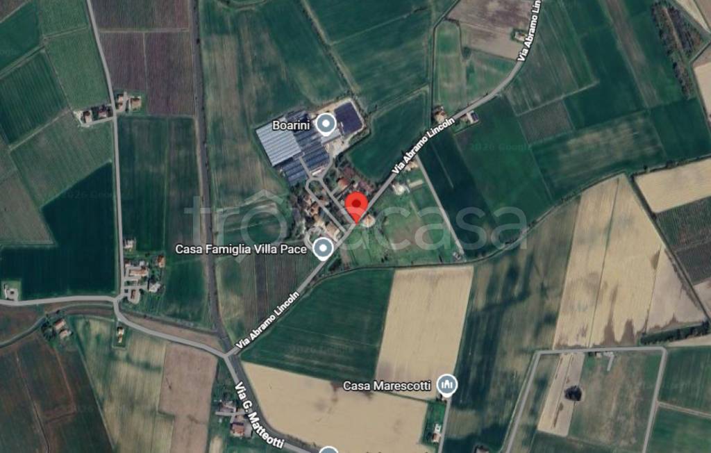 immagine annuncio 3 di 12