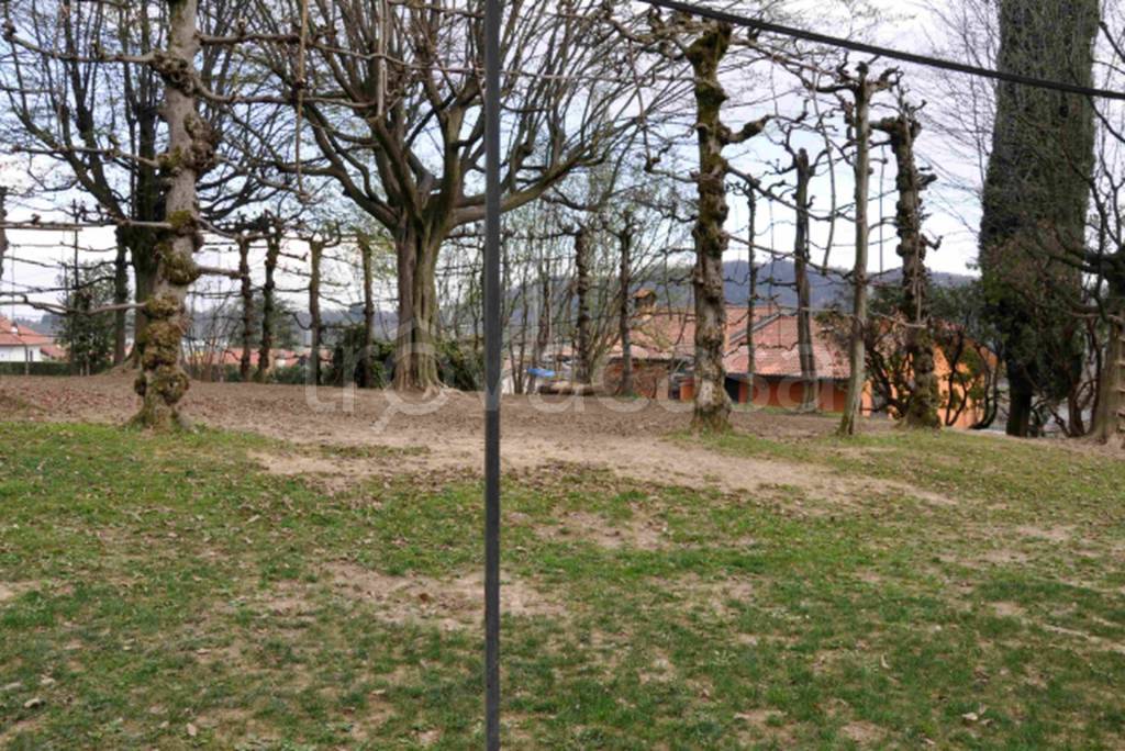 immagine annuncio 2 di 11