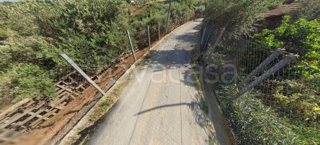 immagine annuncio 9 di 11