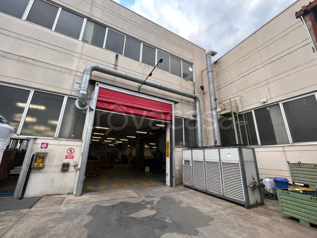 immagine annuncio 11 di 15