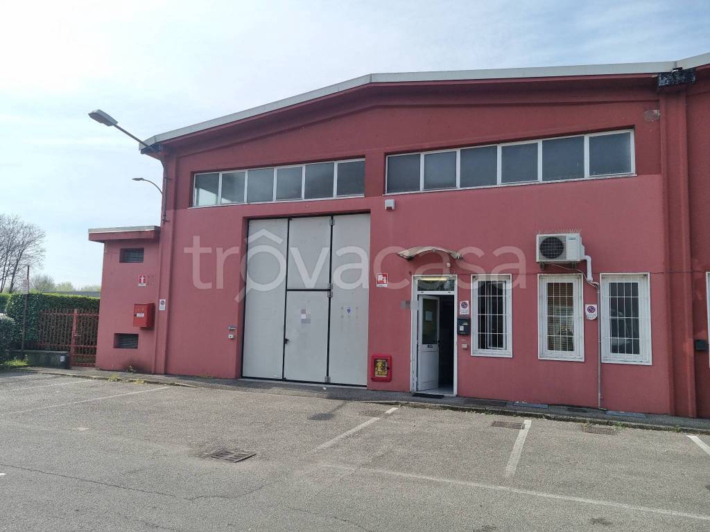 immagine annuncio 1 di 13