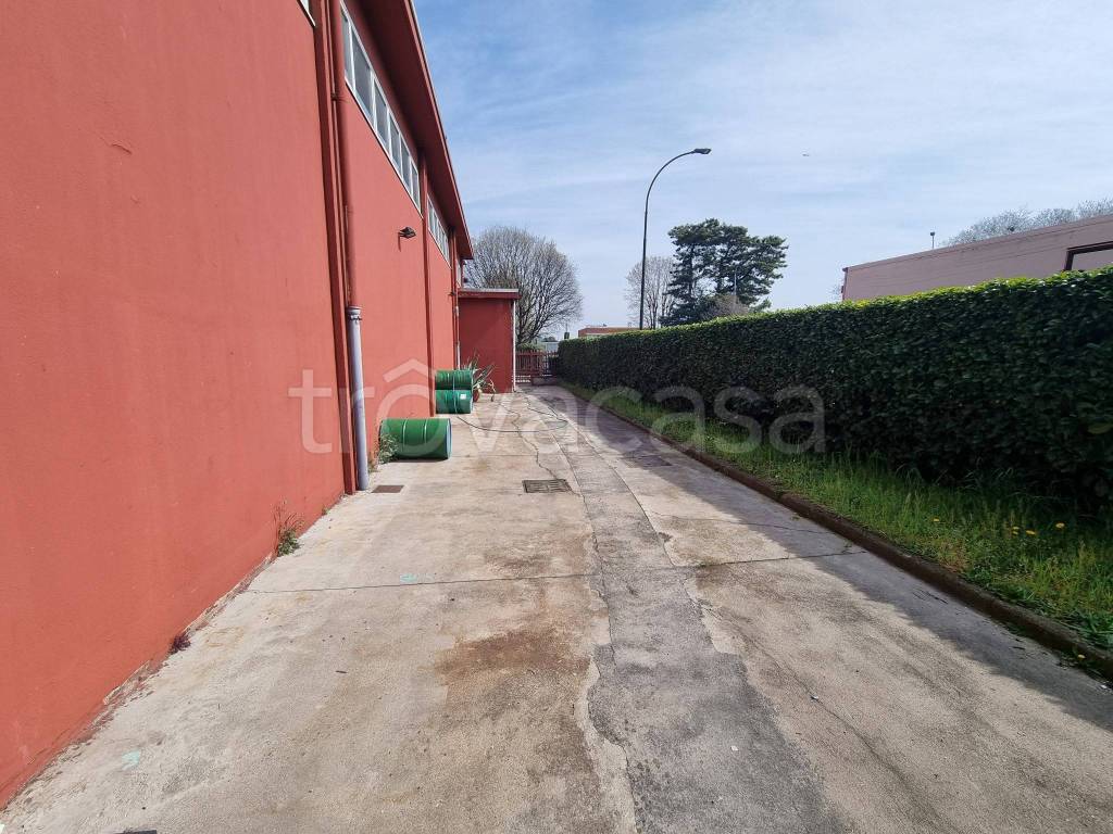 immagine annuncio 2 di 13