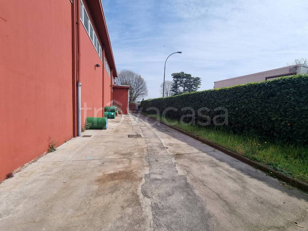 immagine annuncio 3 di 13