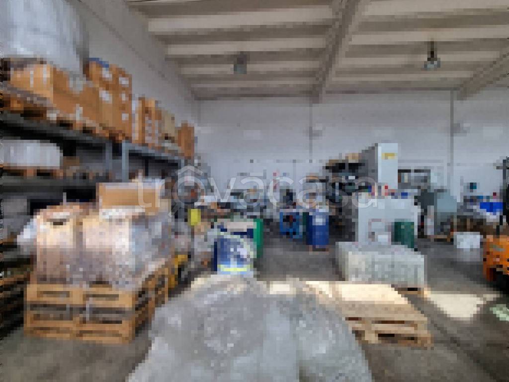 immagine annuncio 6 di 13