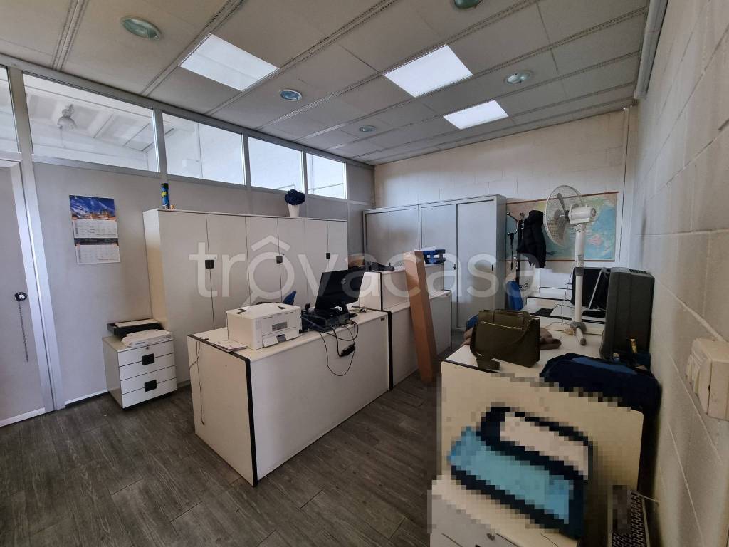 immagine annuncio 9 di 13