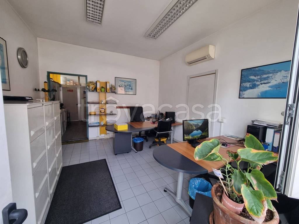 immagine annuncio 10 di 13