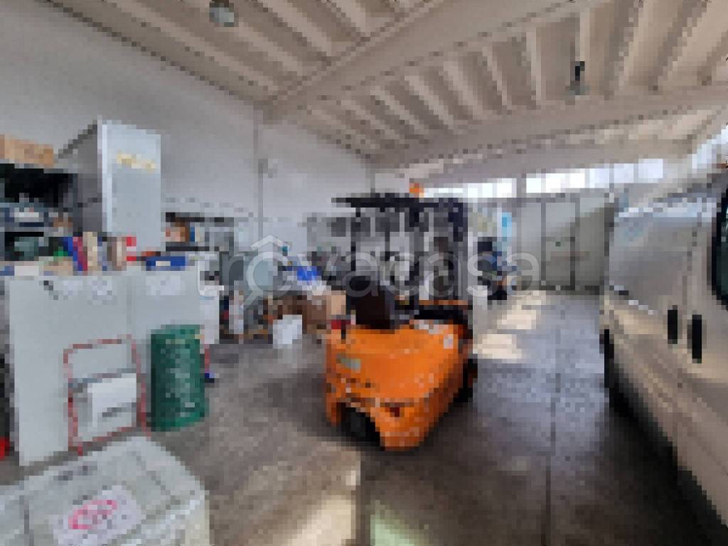 immagine annuncio 11 di 13