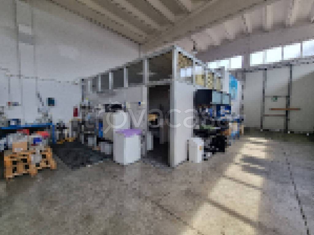 immagine annuncio 12 di 13