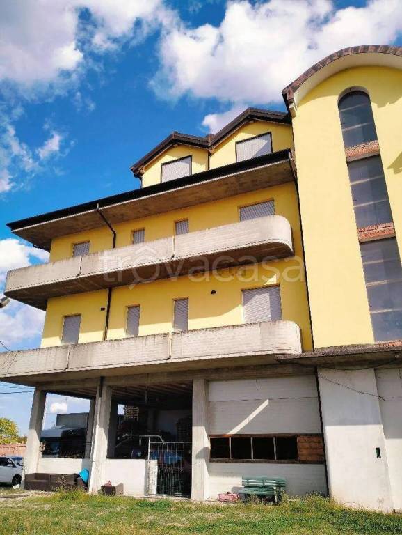 immagine annuncio 1 di 11