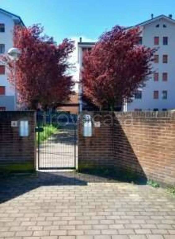 immagine annuncio 2 di 12