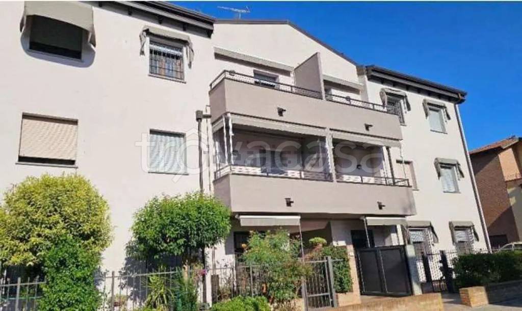 immagine annuncio 3 di 8