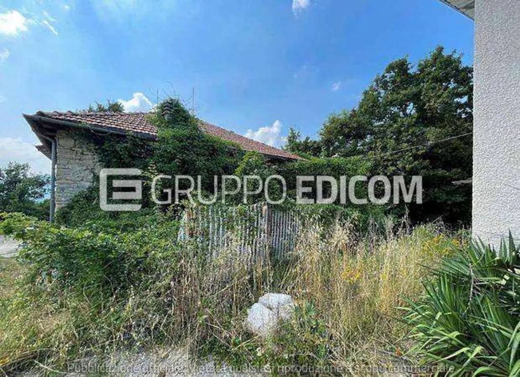 immagine annuncio 10 di 14